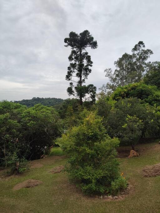 Recanto Da Zizi E Do Nezico São Roque 外观 照片